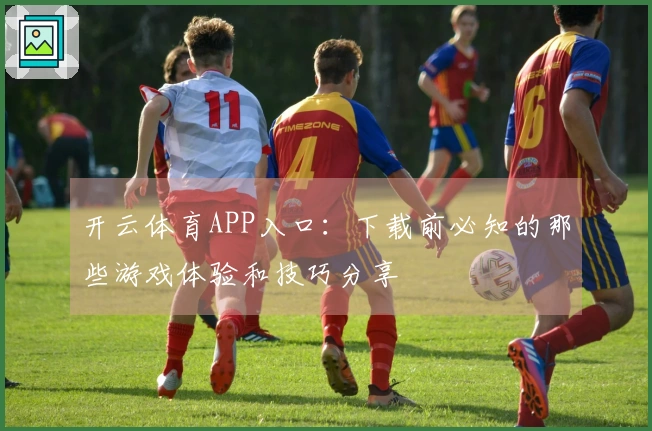 开云体育APP入口：下载前必知的那些游戏体验和技巧分享